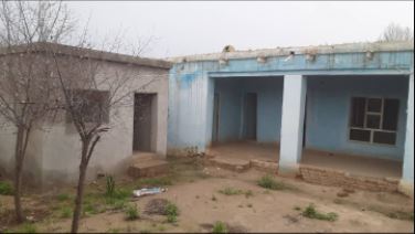 تصویر نمایش داده نشد