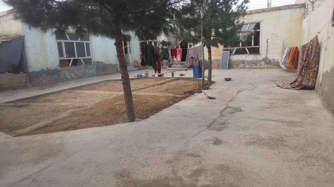 تصویر نمایش داده نشد